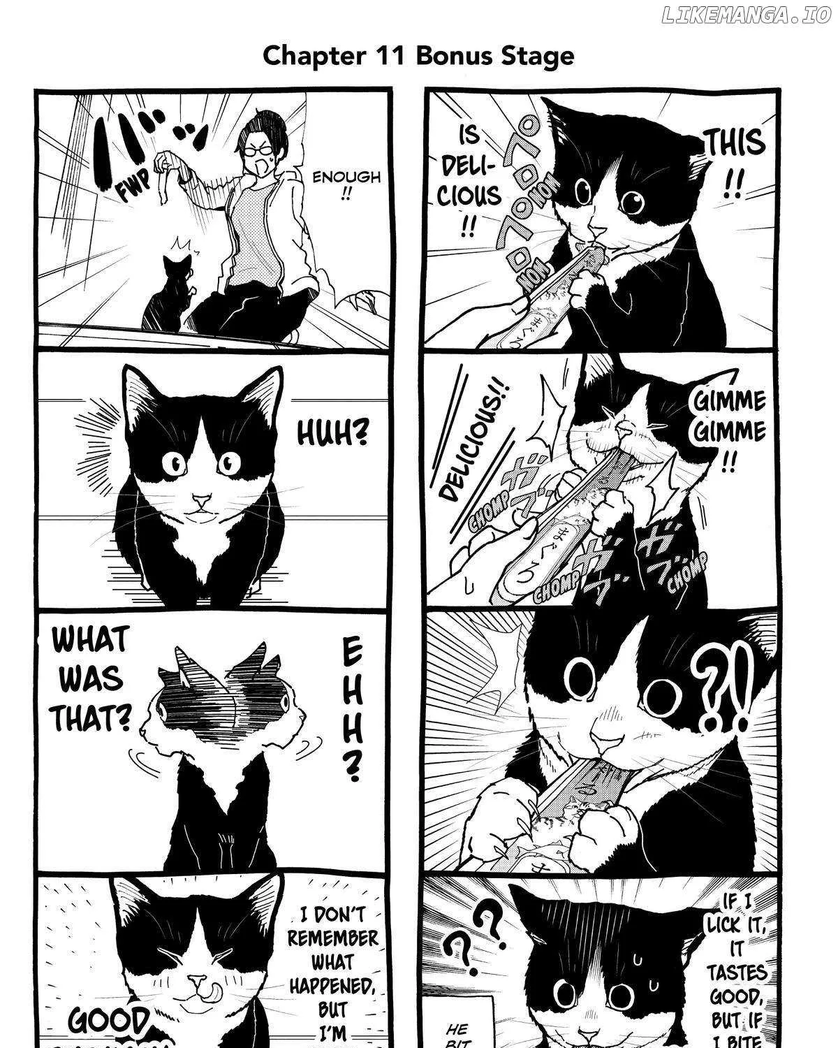 A Gamer Living with a Cat Chapter 11 page 34 - 