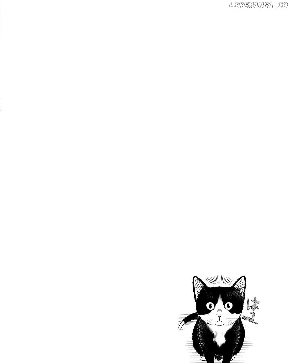 A Gamer Living with a Cat Chapter 11 page 36 - 