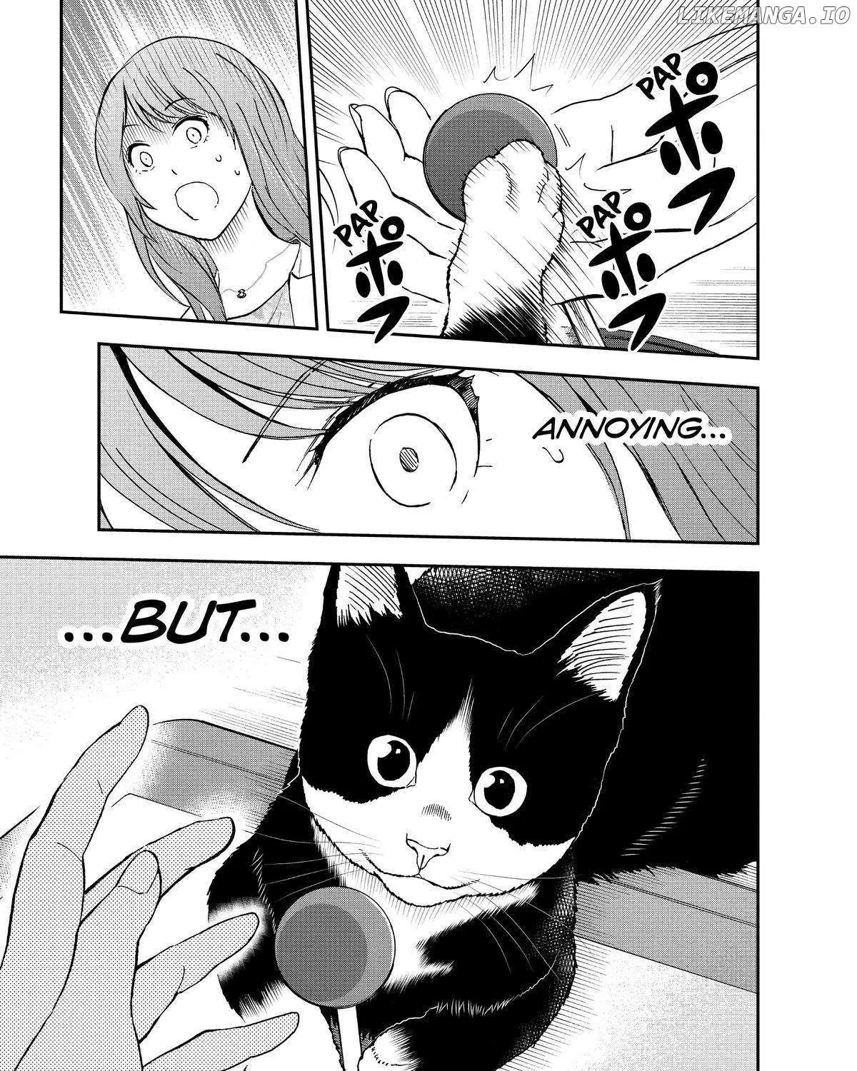A Gamer Living with a Cat Chapter 13 page 13 - 