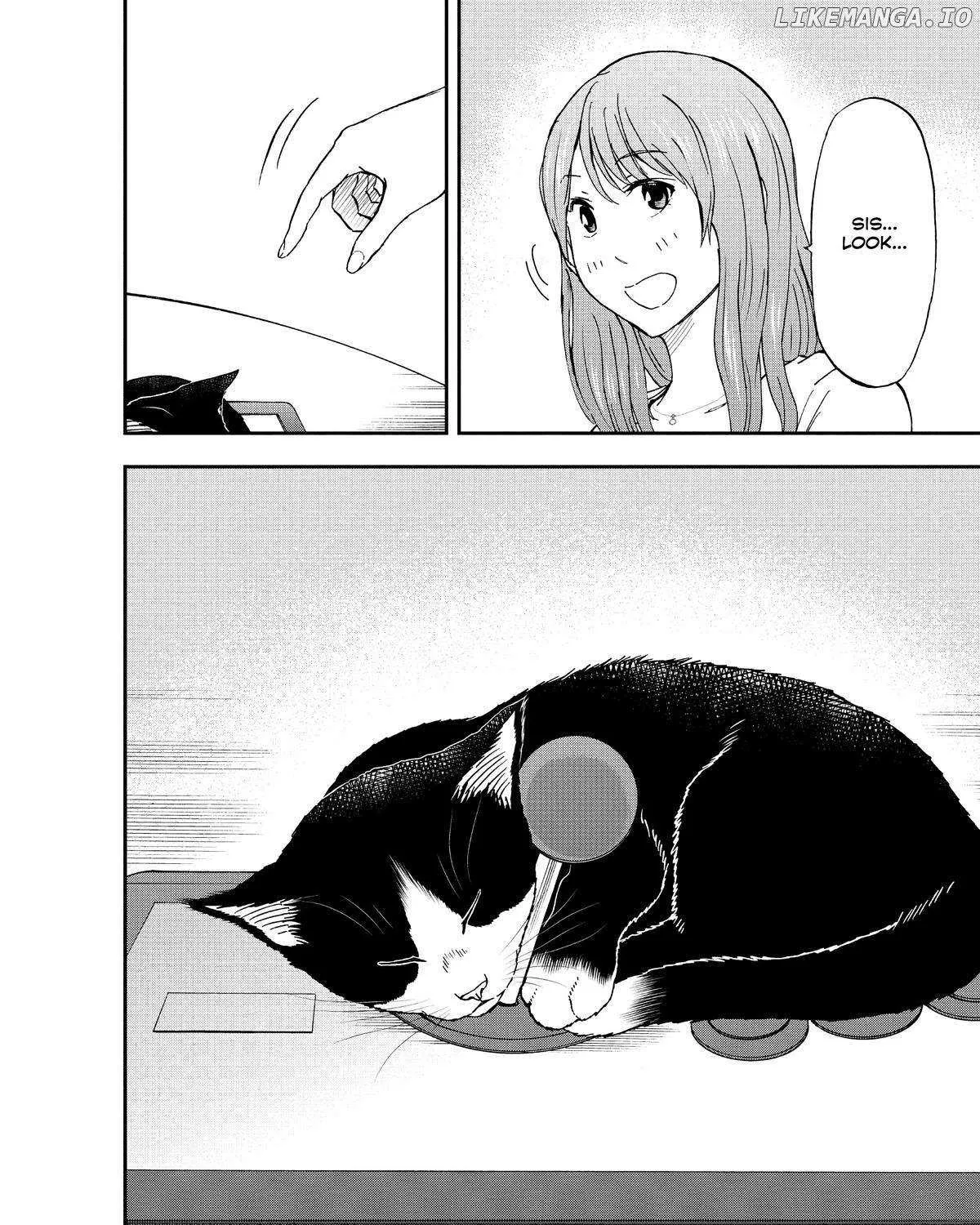 A Gamer Living with a Cat Chapter 13 page 19 - 