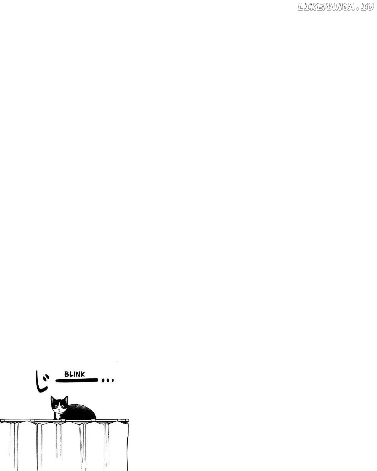 A Gamer Living with a Cat Chapter 15 page 32 - 