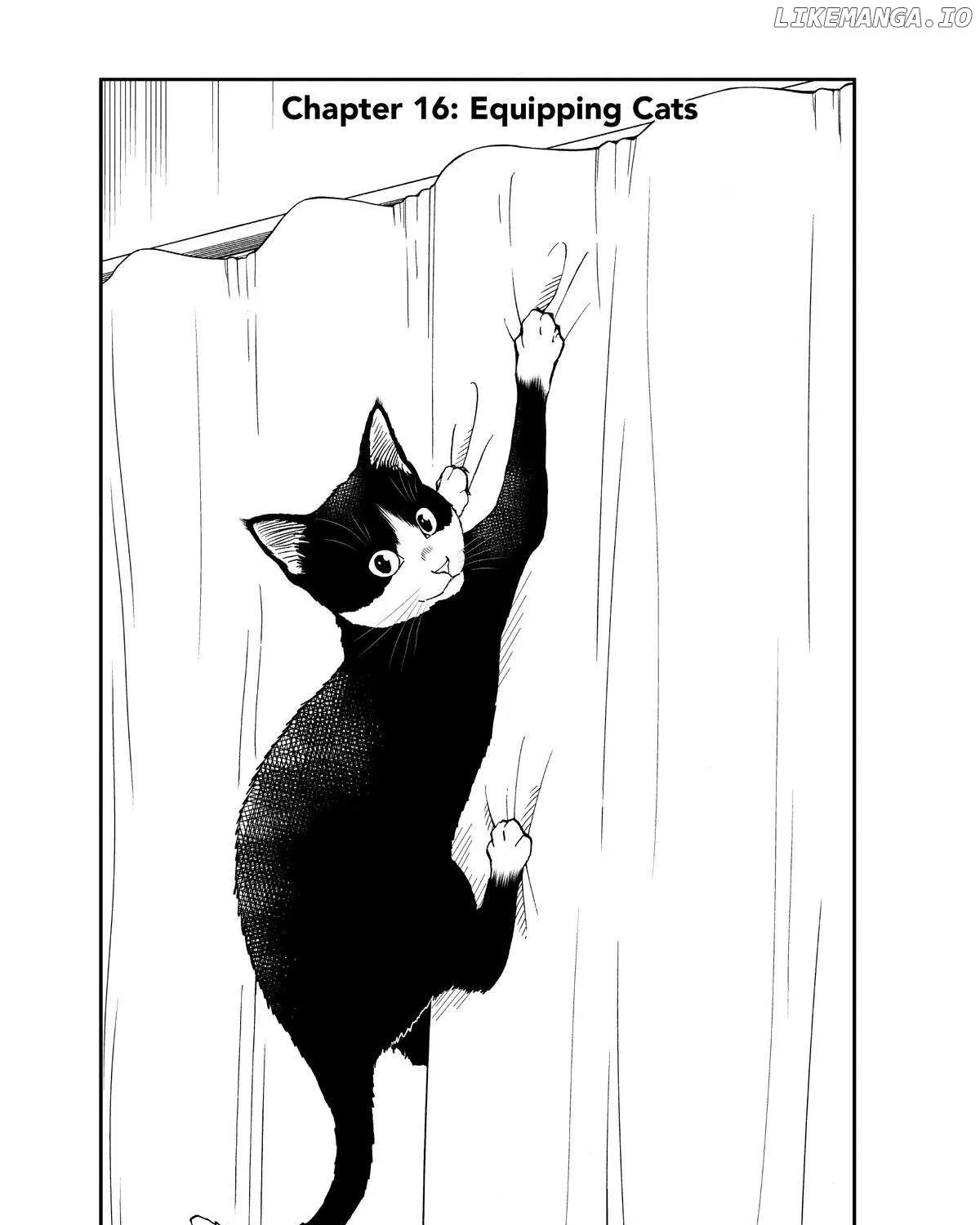A Gamer Living with a Cat Chapter 16 page 2 - 