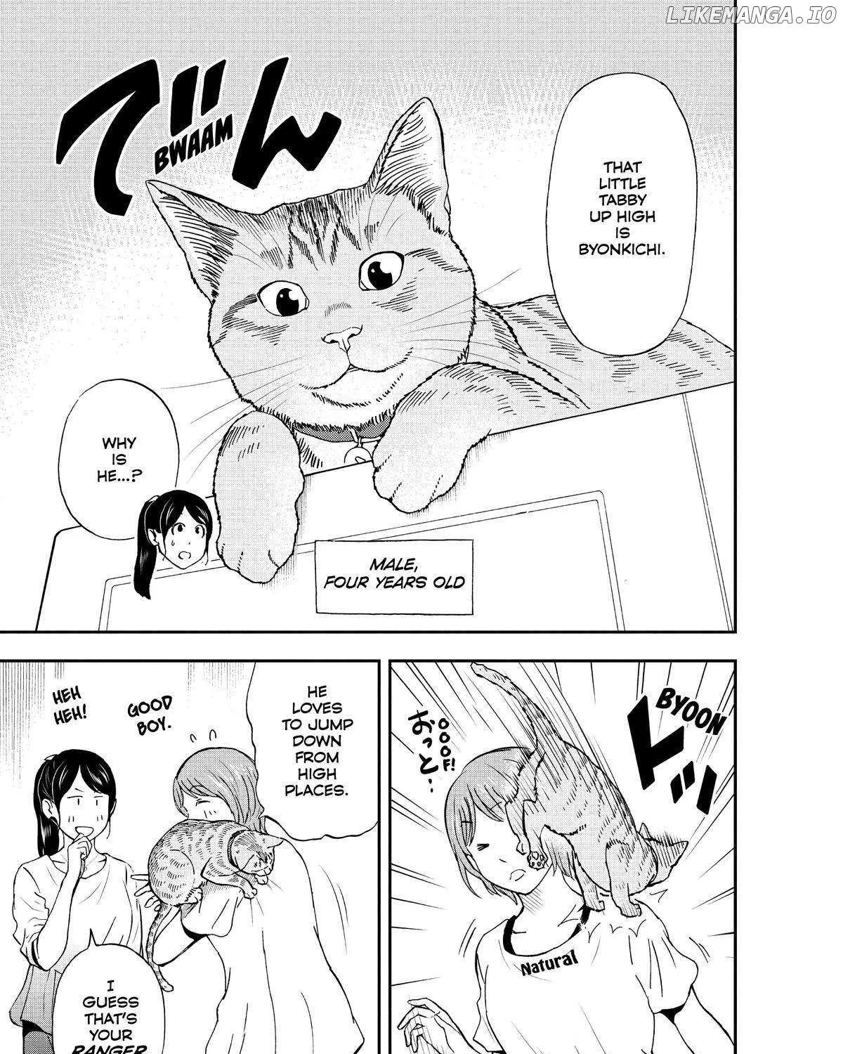 A Gamer Living with a Cat Chapter 17 page 18 - 