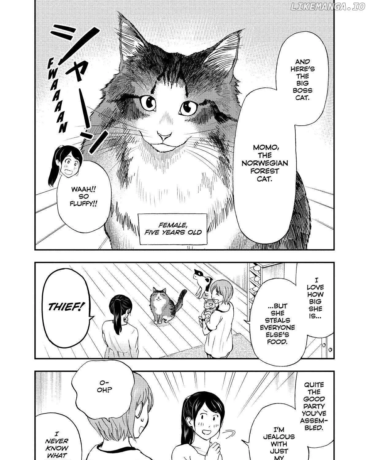 A Gamer Living with a Cat Chapter 17 page 20 - 