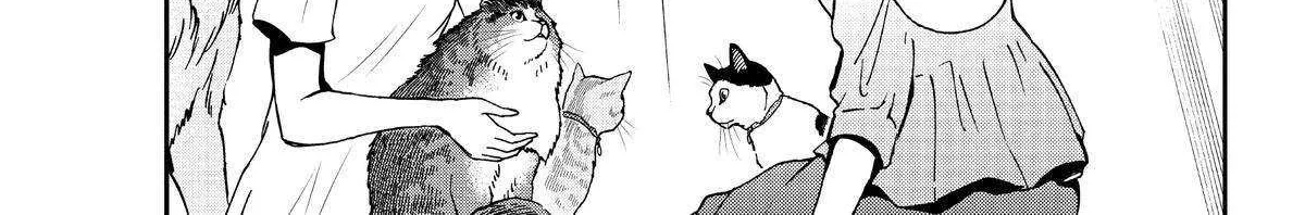 A Gamer Living with a Cat Chapter 17 page 33 - 