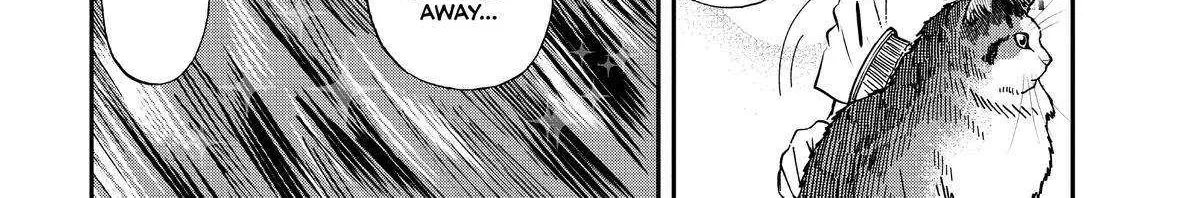 A Gamer Living with a Cat Chapter 17 page 35 - 