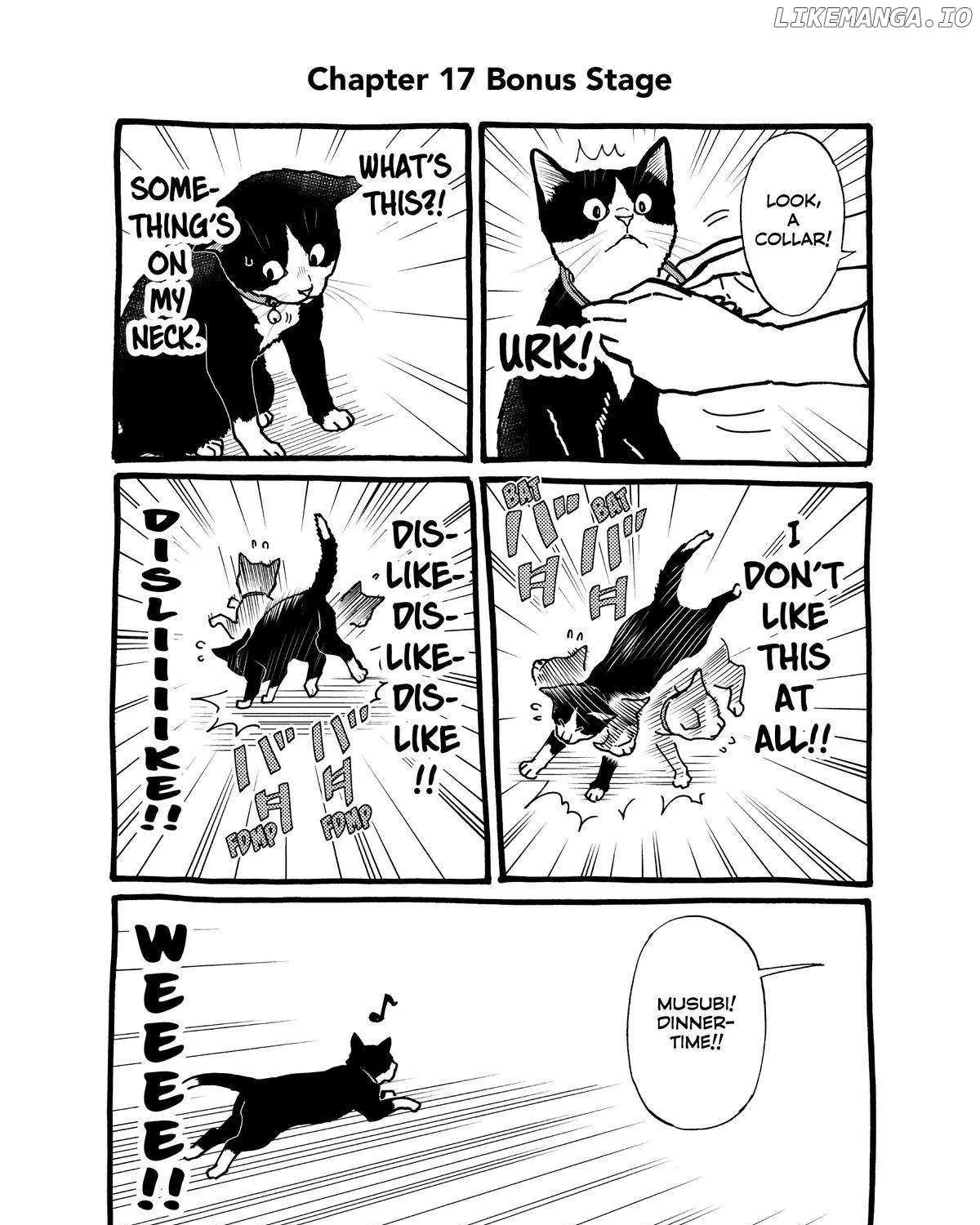 A Gamer Living with a Cat Chapter 17 page 42 - 