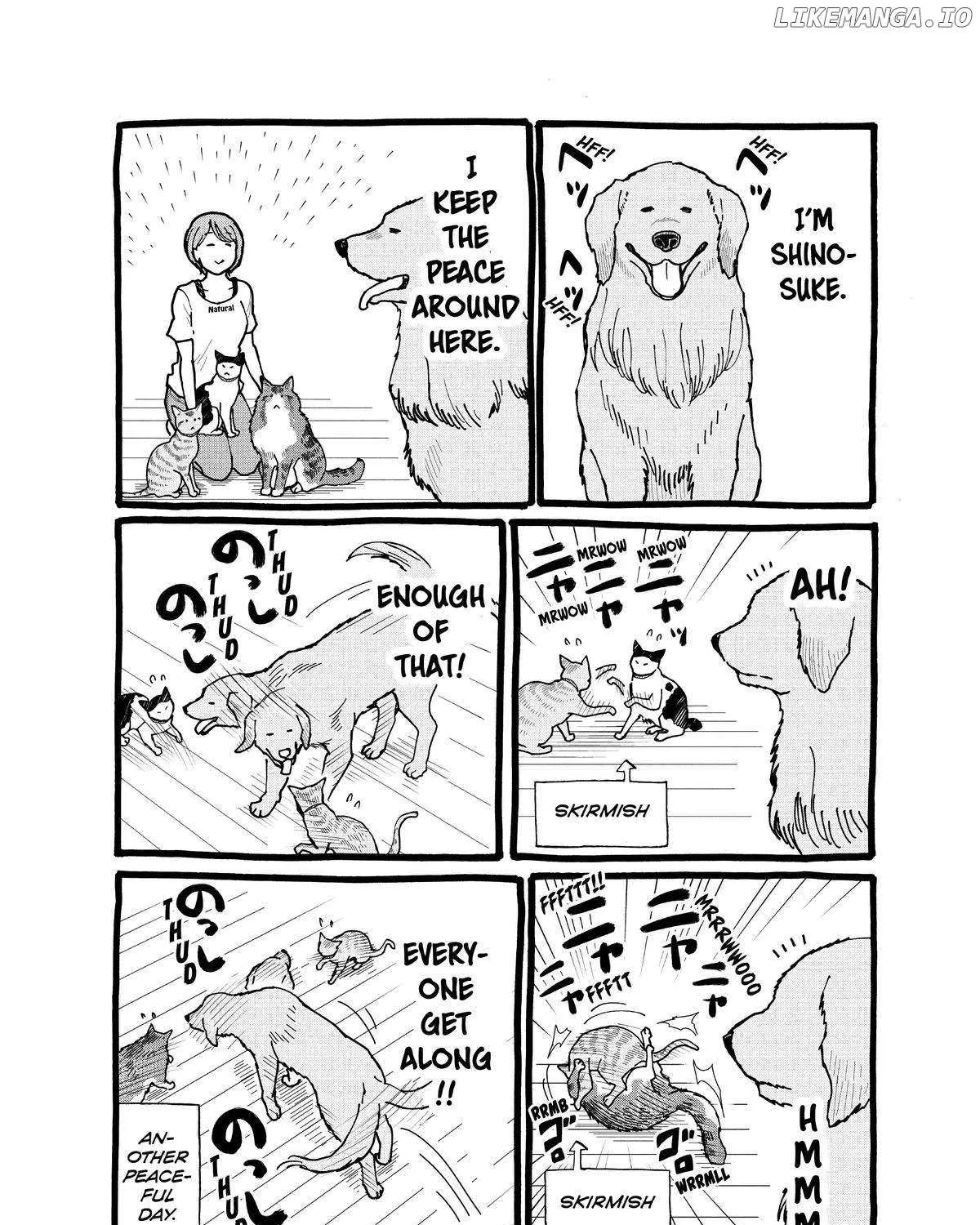 A Gamer Living with a Cat Chapter 17 page 44 - 