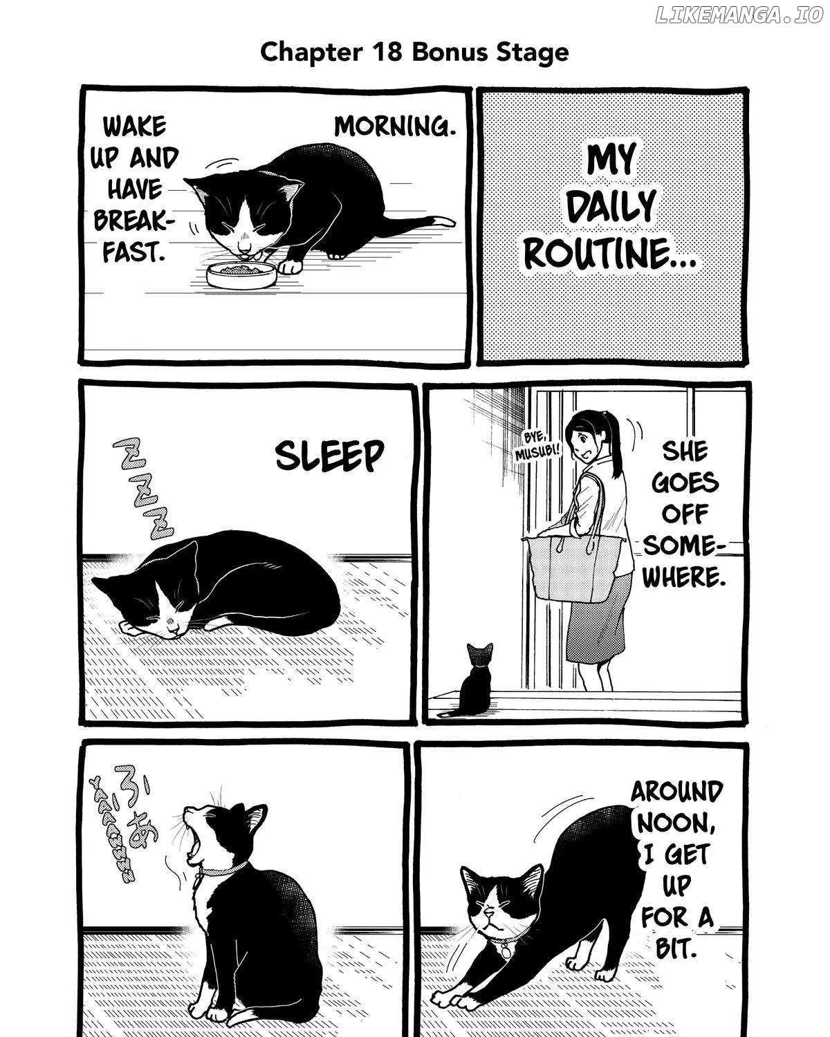 A Gamer Living with a Cat Chapter 18 page 39 - 