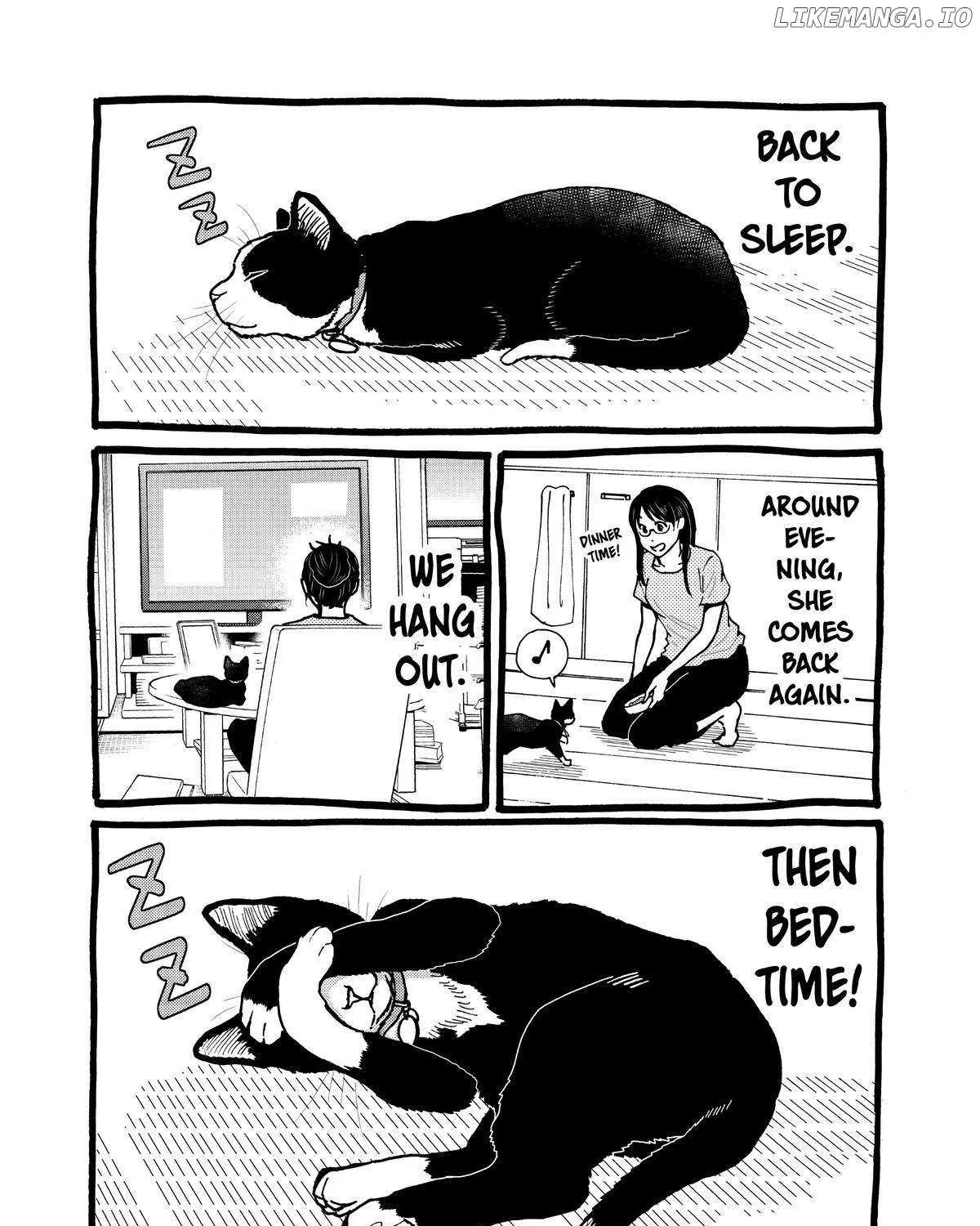 A Gamer Living with a Cat Chapter 18 page 41 - 