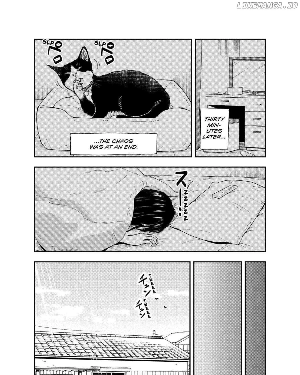 A Gamer Living with a Cat Chapter 19 page 12 - 