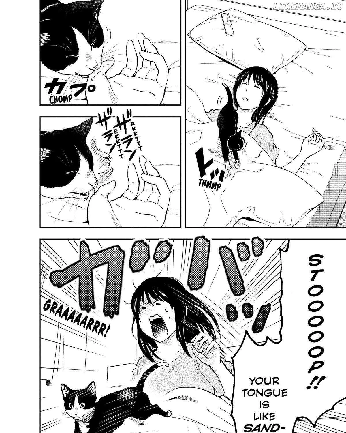 A Gamer Living with a Cat Chapter 19 page 16 - 