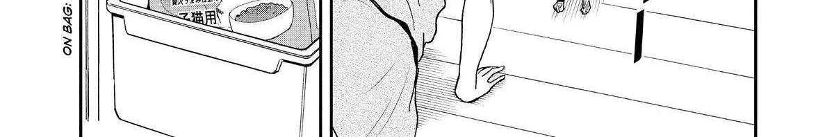 A Gamer Living with a Cat Chapter 19 page 19 - 