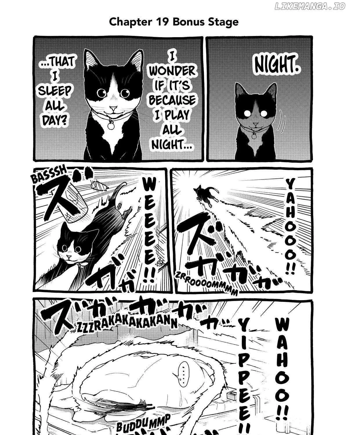 A Gamer Living with a Cat Chapter 19 page 38 - 