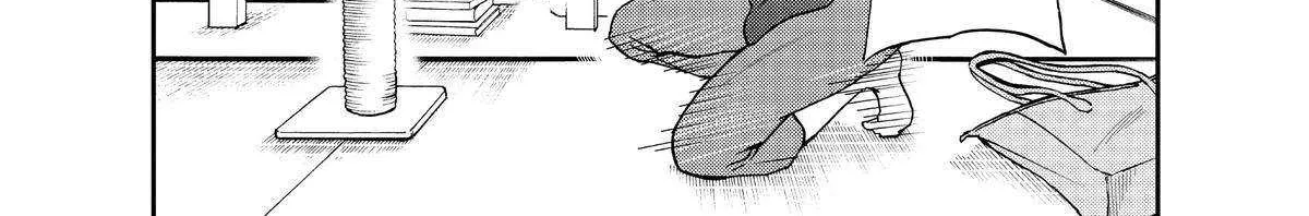 A Gamer Living with a Cat Chapter 20 page 11 - 