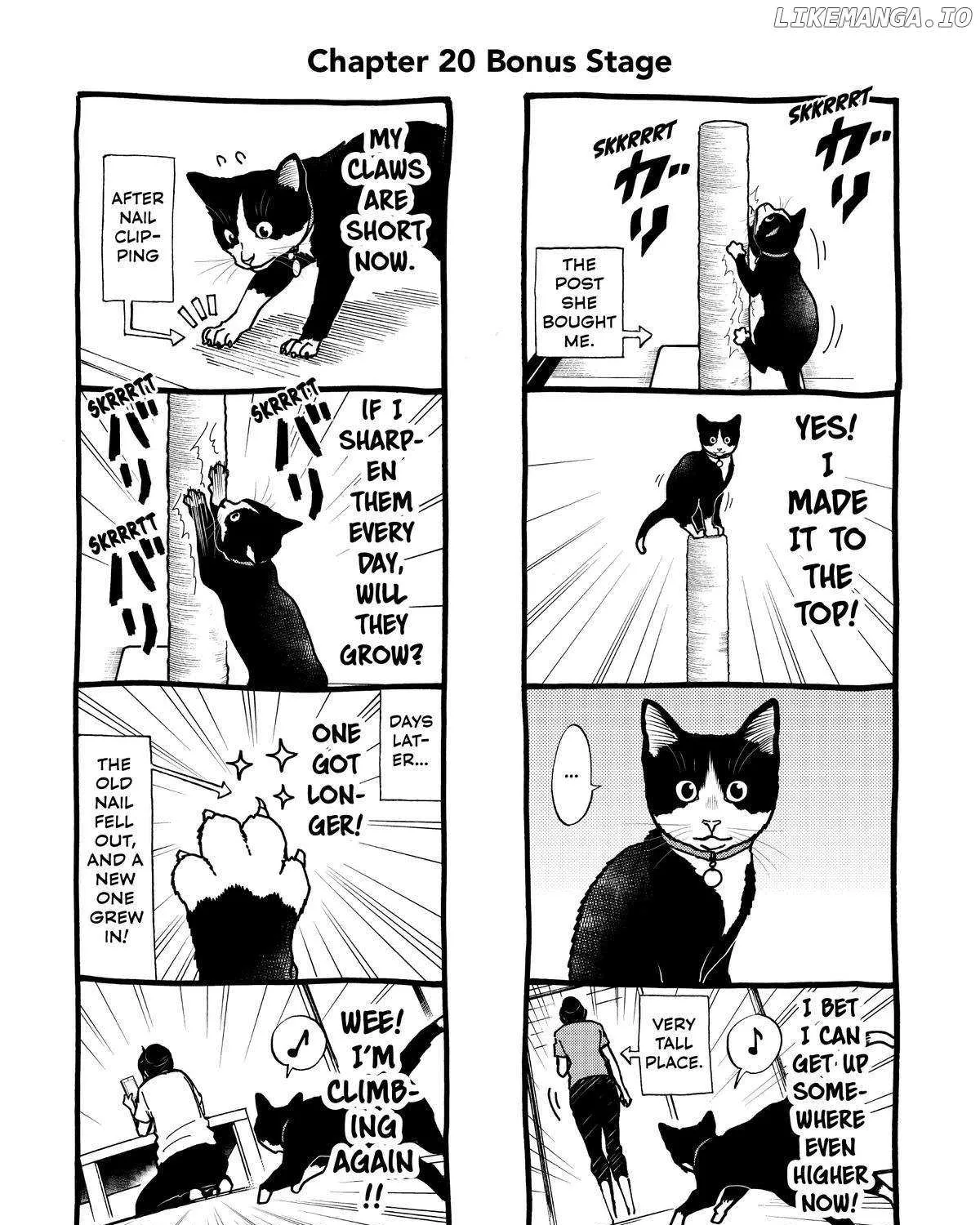 A Gamer Living with a Cat Chapter 20 page 34 - 