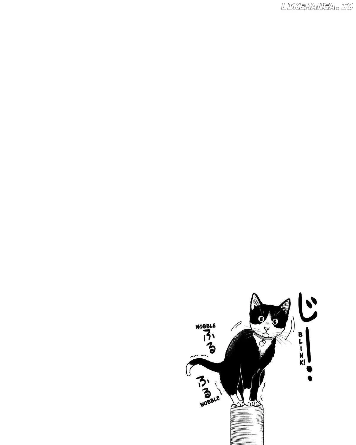 A Gamer Living with a Cat Chapter 20 page 36 - 