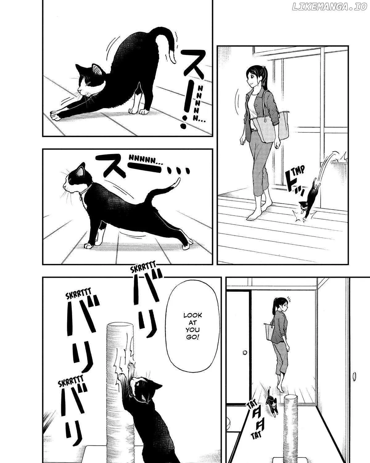 A Gamer Living with a Cat Chapter 20 page 8 - 