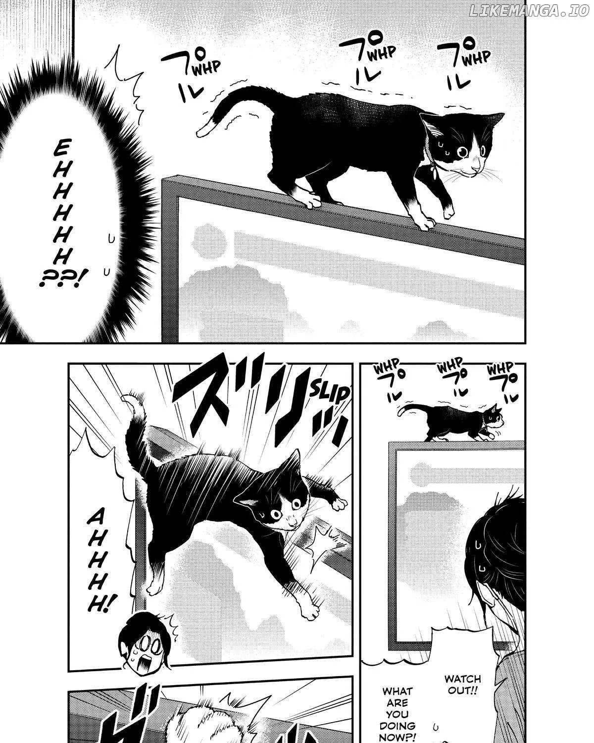 A Gamer Living with a Cat Chapter 22 page 13 - 