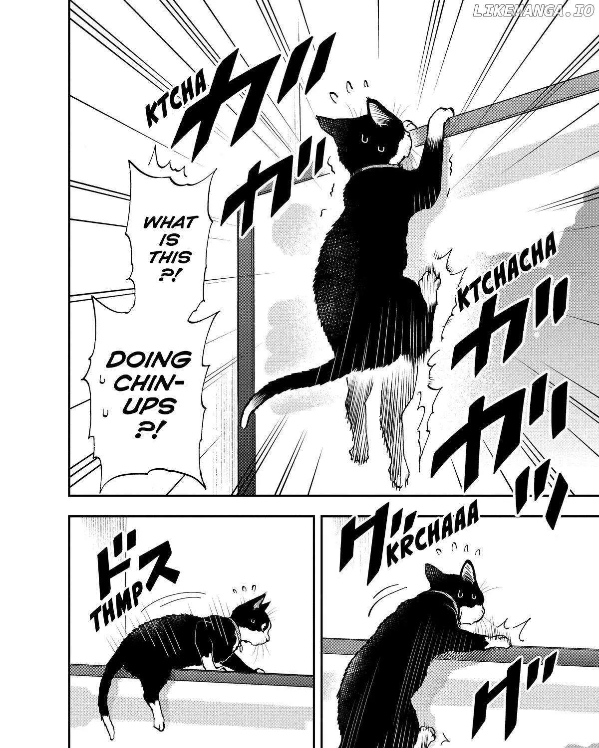 A Gamer Living with a Cat Chapter 22 page 15 - 