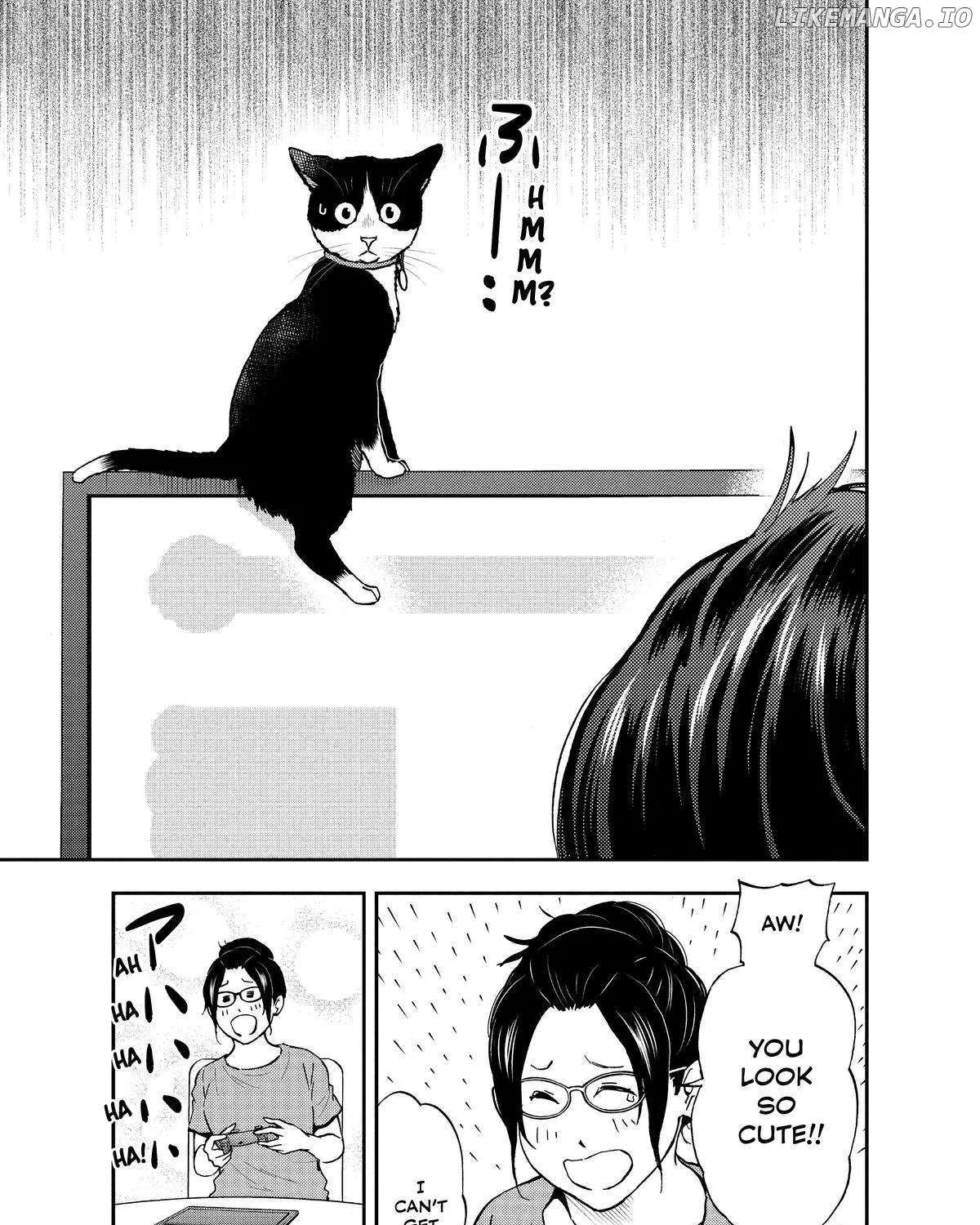 A Gamer Living with a Cat Chapter 22 page 17 - 