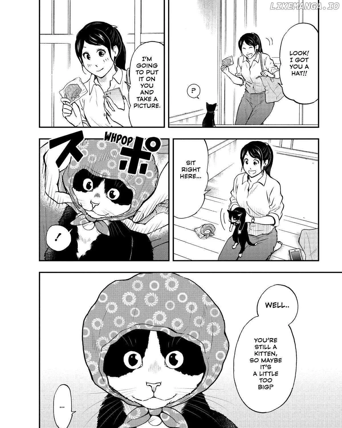 A Gamer Living with a Cat Chapter 24 page 11 - 