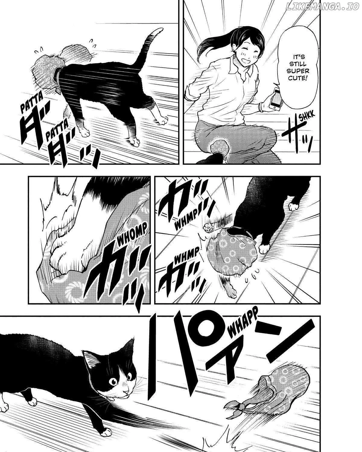 A Gamer Living with a Cat Chapter 24 page 13 - 