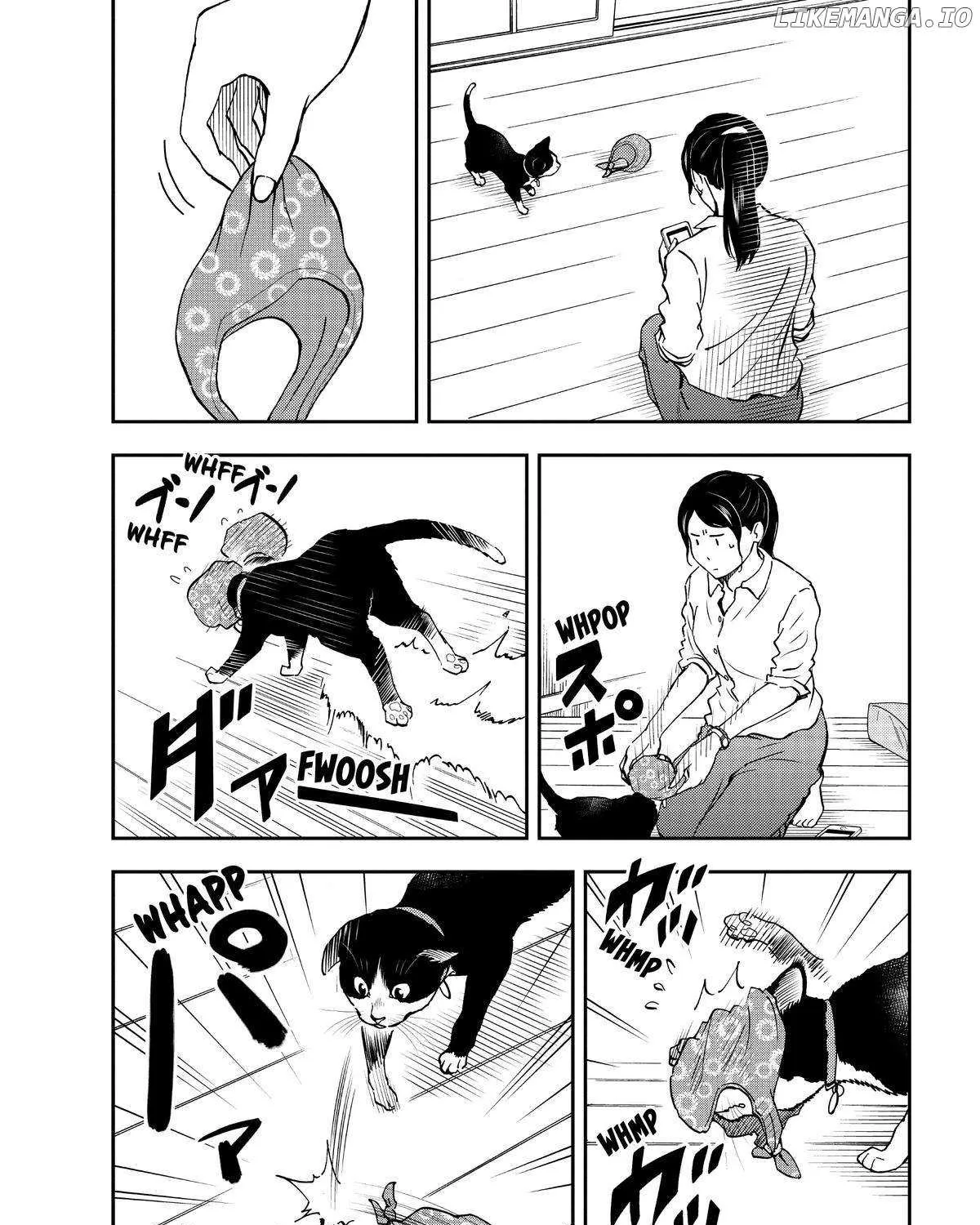 A Gamer Living with a Cat Chapter 24 page 15 - 