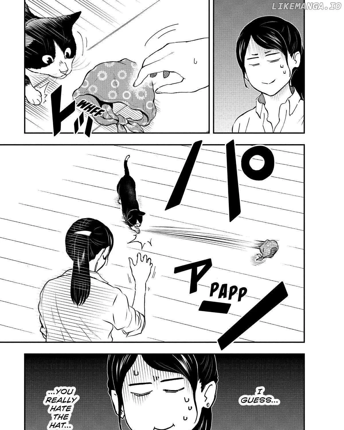A Gamer Living with a Cat Chapter 24 page 17 - 