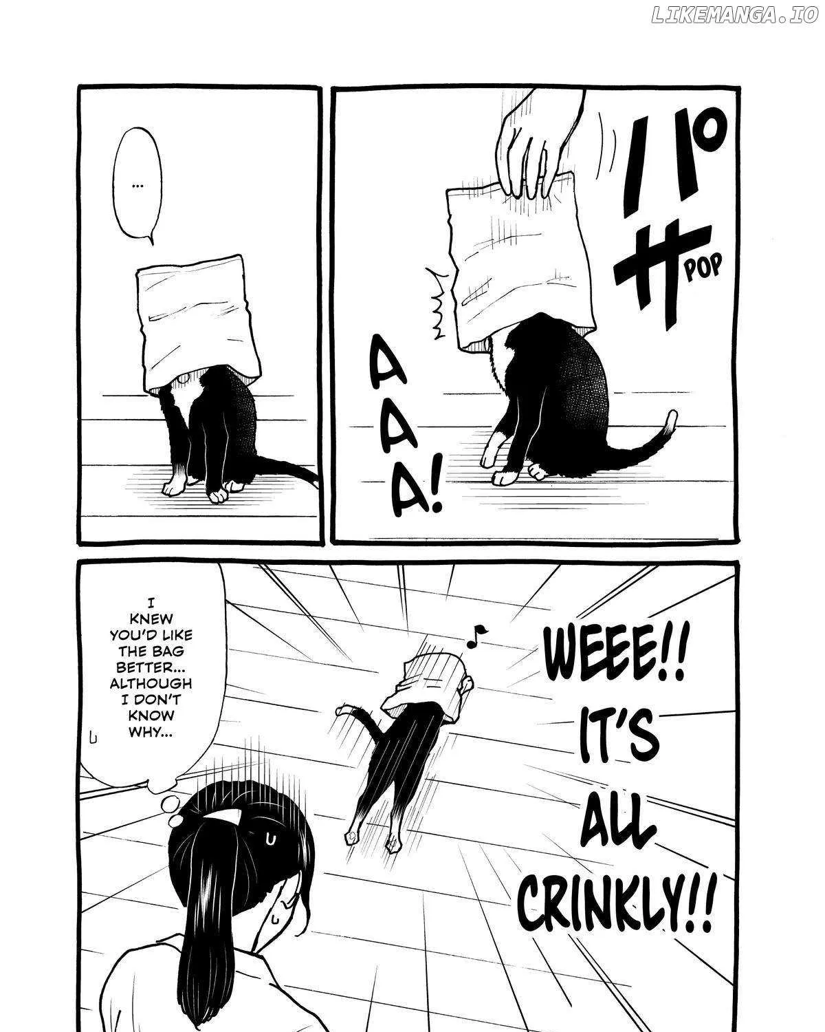 A Gamer Living with a Cat Chapter 24 page 35 - 