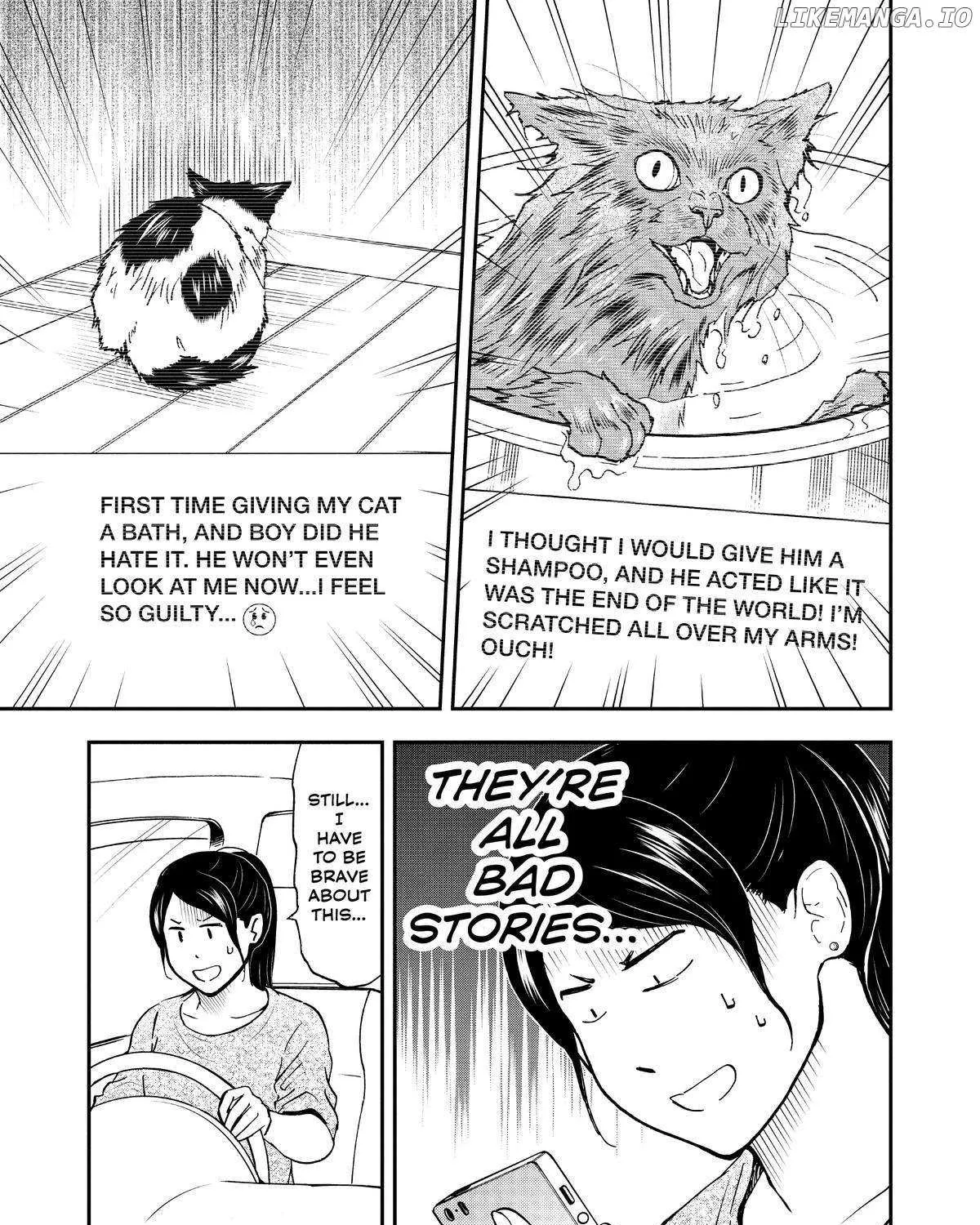 A Gamer Living with a Cat Chapter 25 page 17 - 