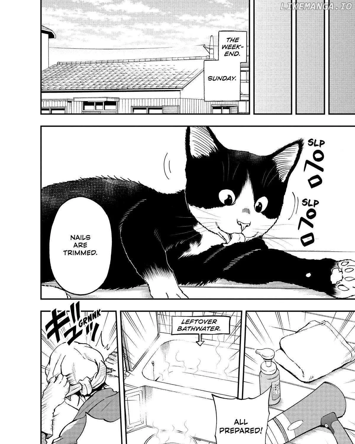A Gamer Living with a Cat Chapter 25 page 19 - 