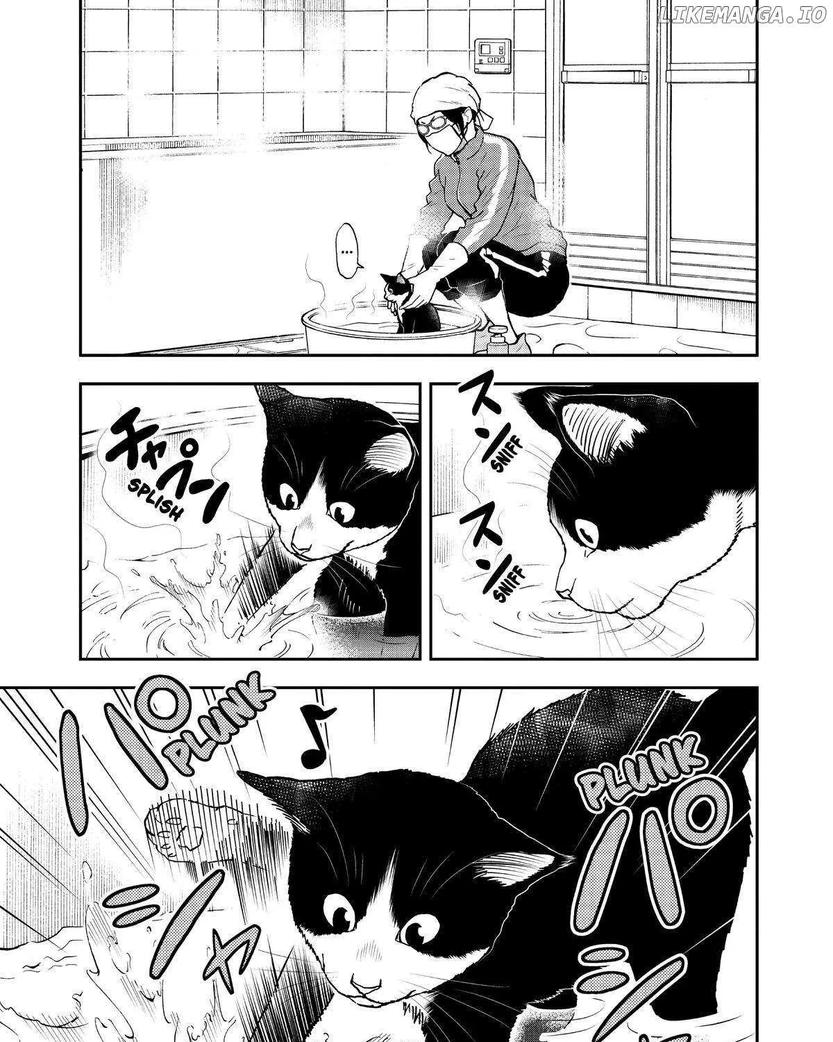 A Gamer Living with a Cat Chapter 25 page 25 - 