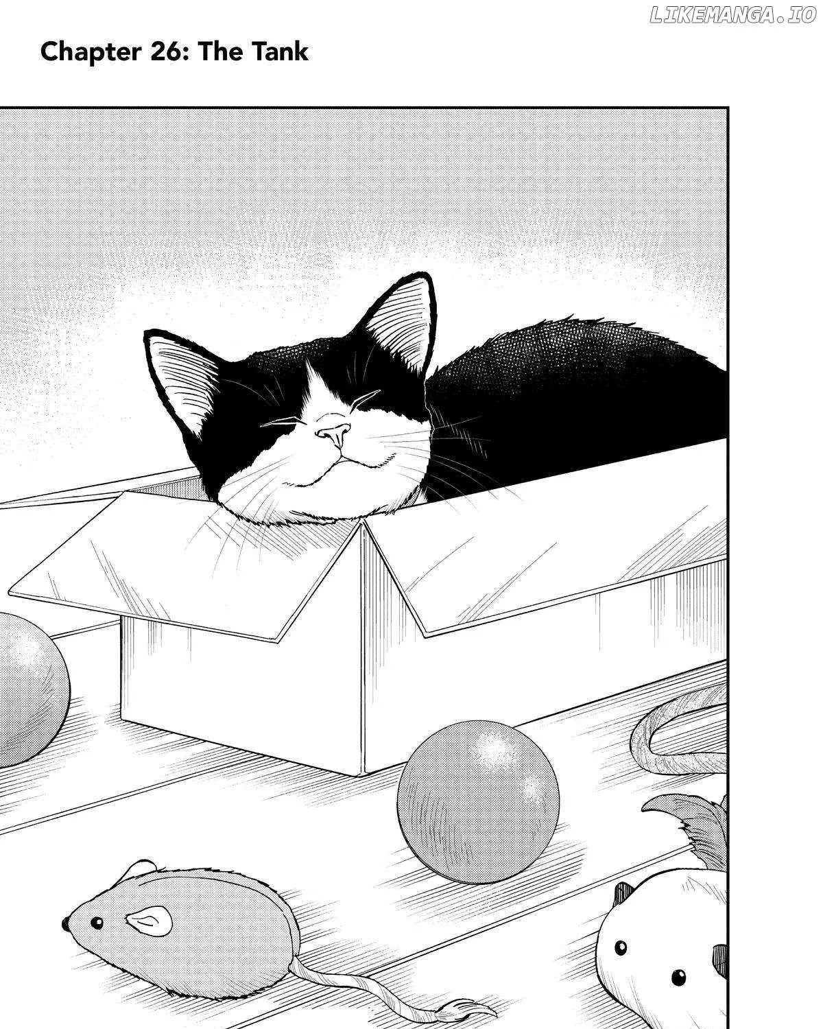 A Gamer Living with a Cat Chapter 26 page 2 - 