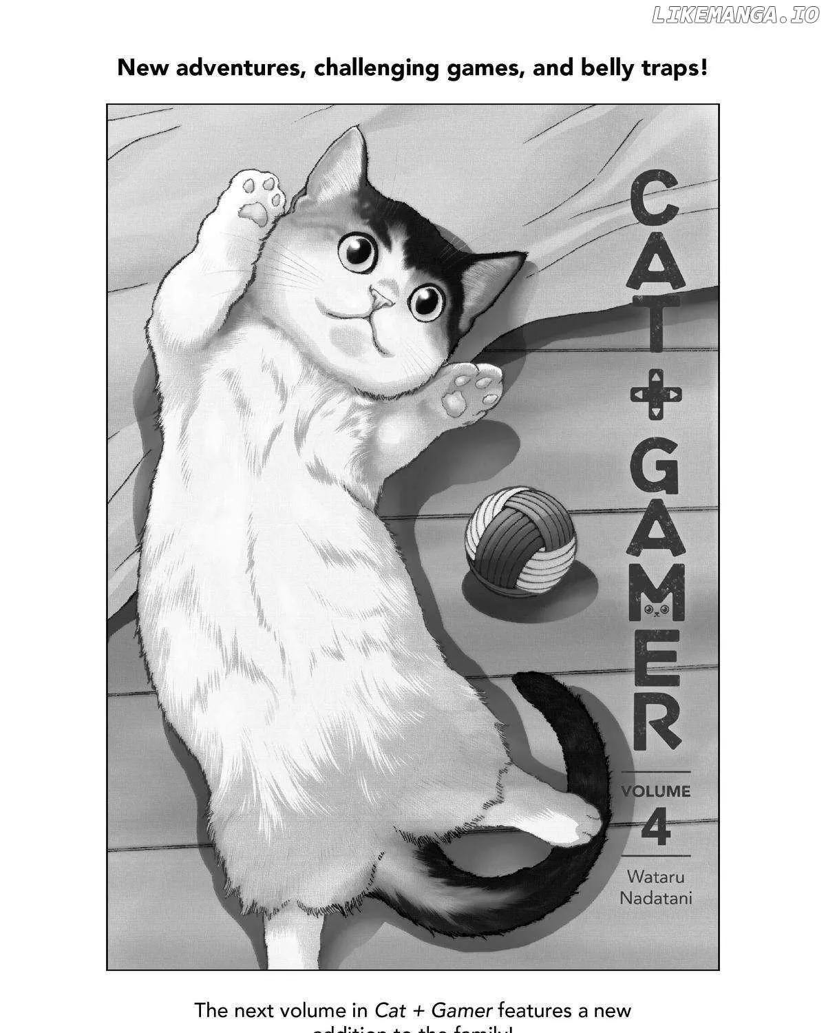 A Gamer Living with a Cat Chapter 26 page 40 - 