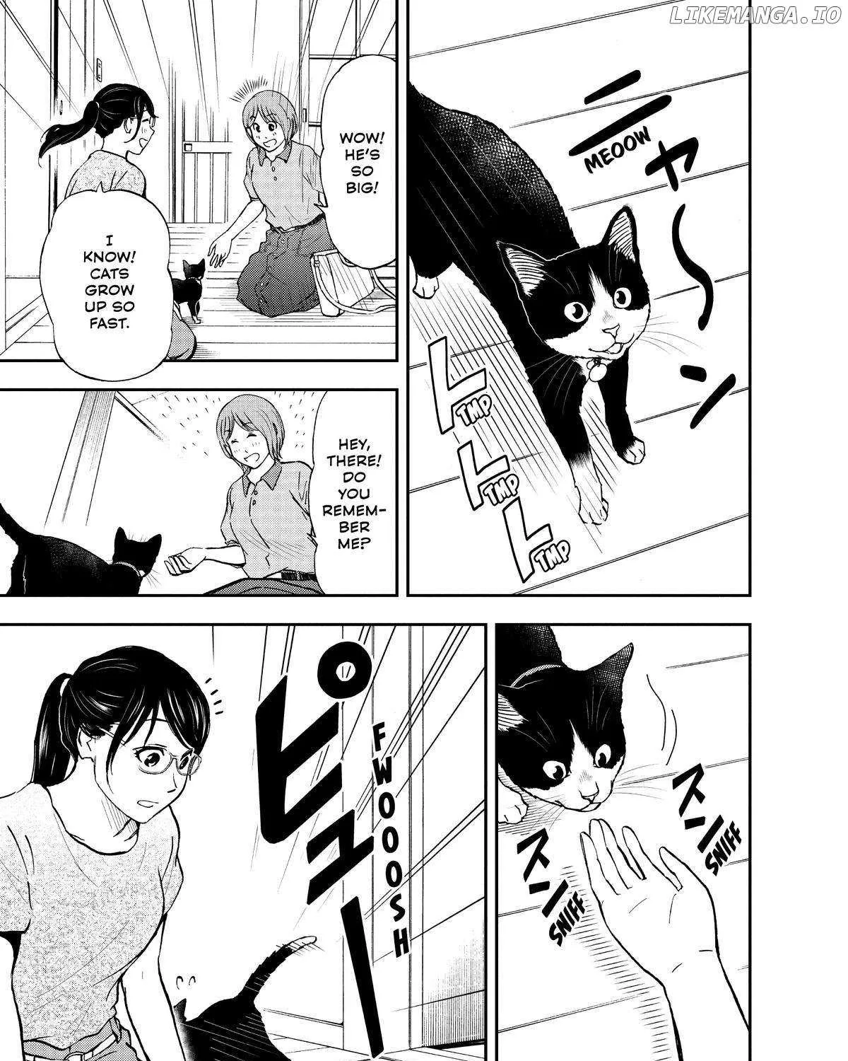 A Gamer Living with a Cat Chapter 27 page 15 - 