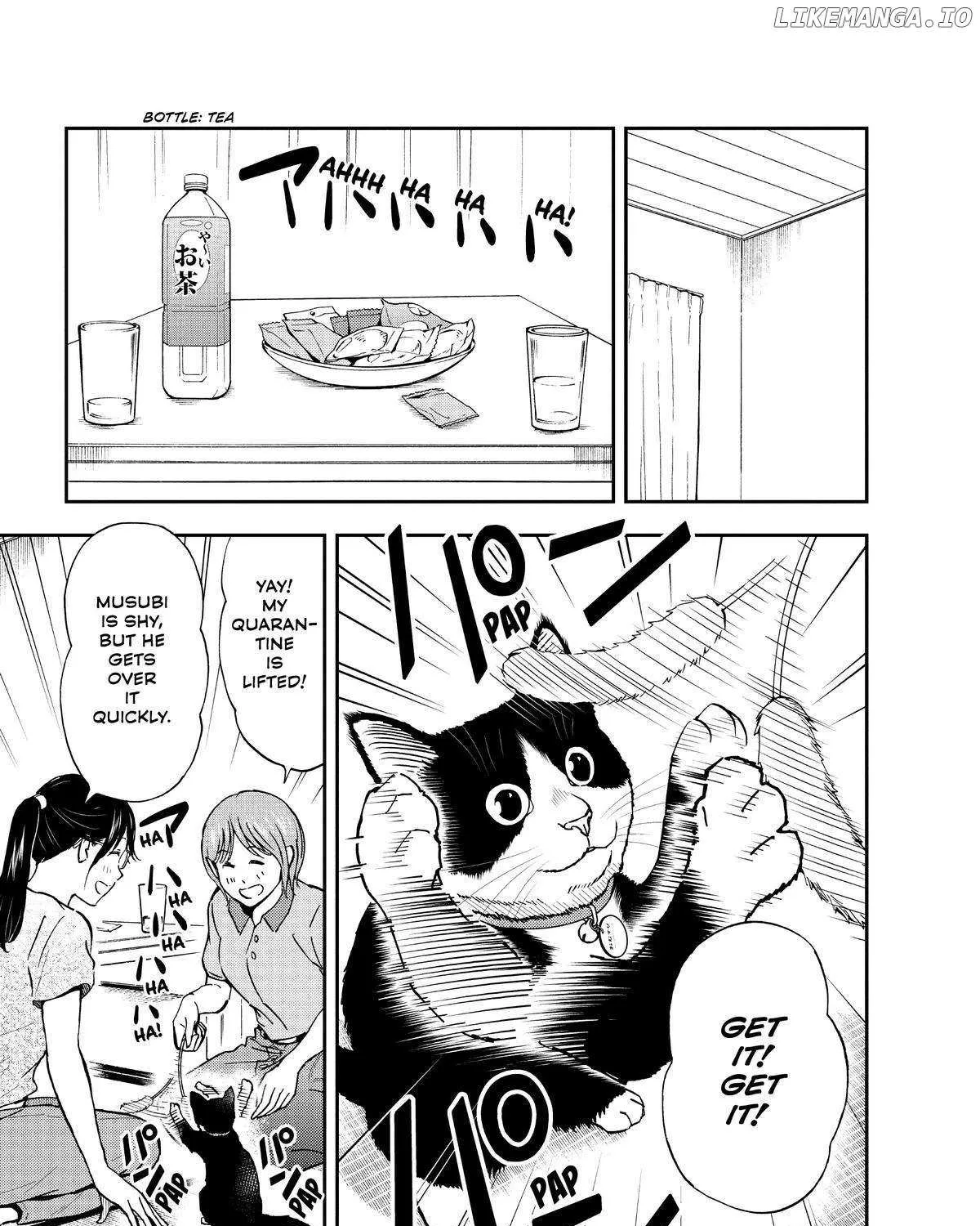 A Gamer Living with a Cat Chapter 27 page 19 - 