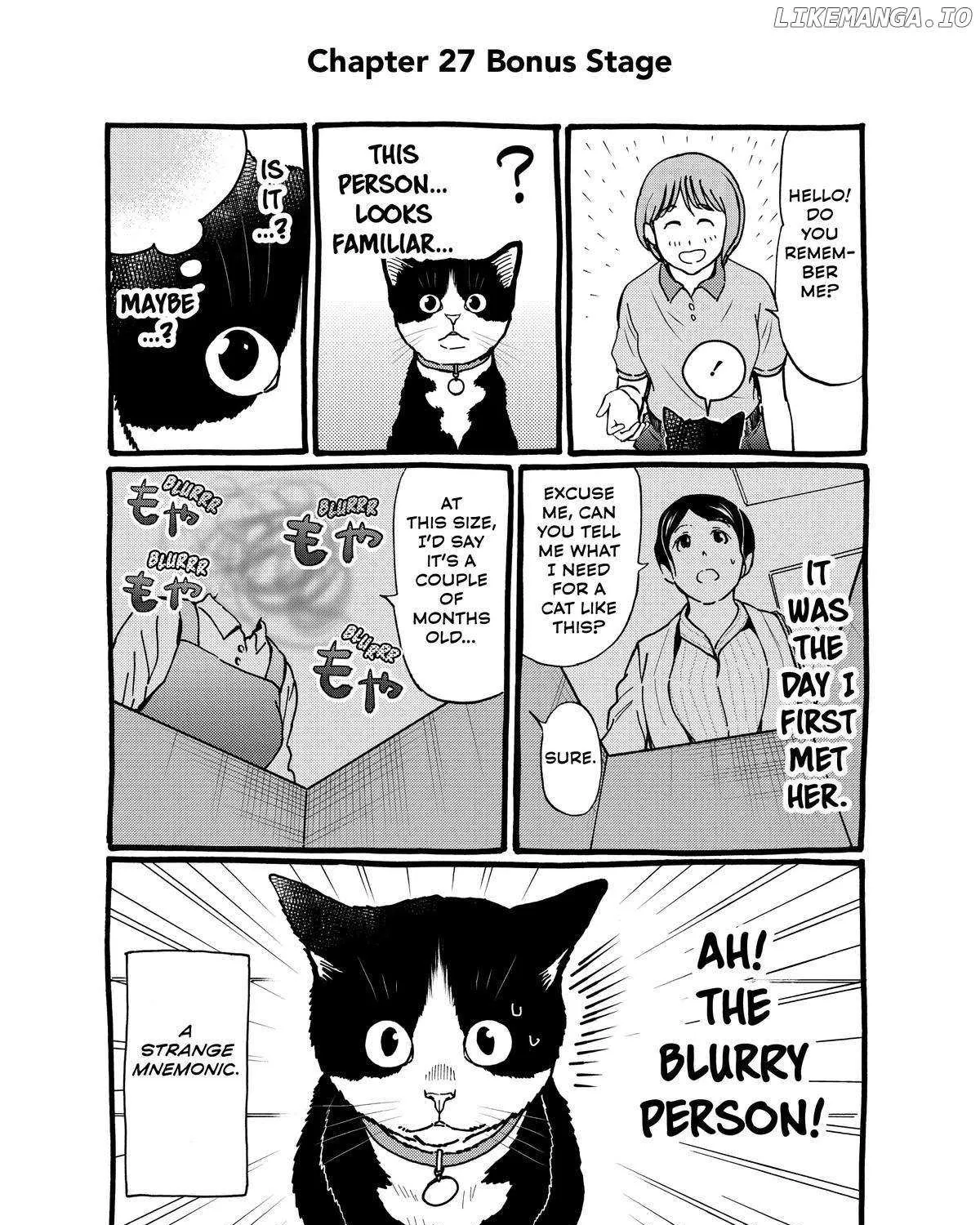 A Gamer Living with a Cat Chapter 27 page 35 - 