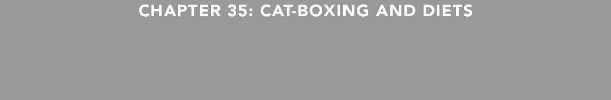 A Gamer Living with a Cat Chapter 27 page 6 - 