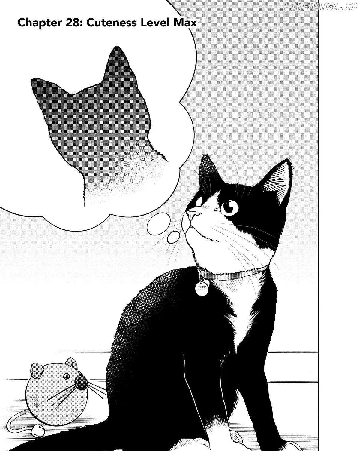 A Gamer Living with a Cat Chapter 28 page 1 - 