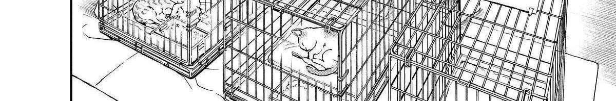 A Gamer Living with a Cat Chapter 28 page 12 - 