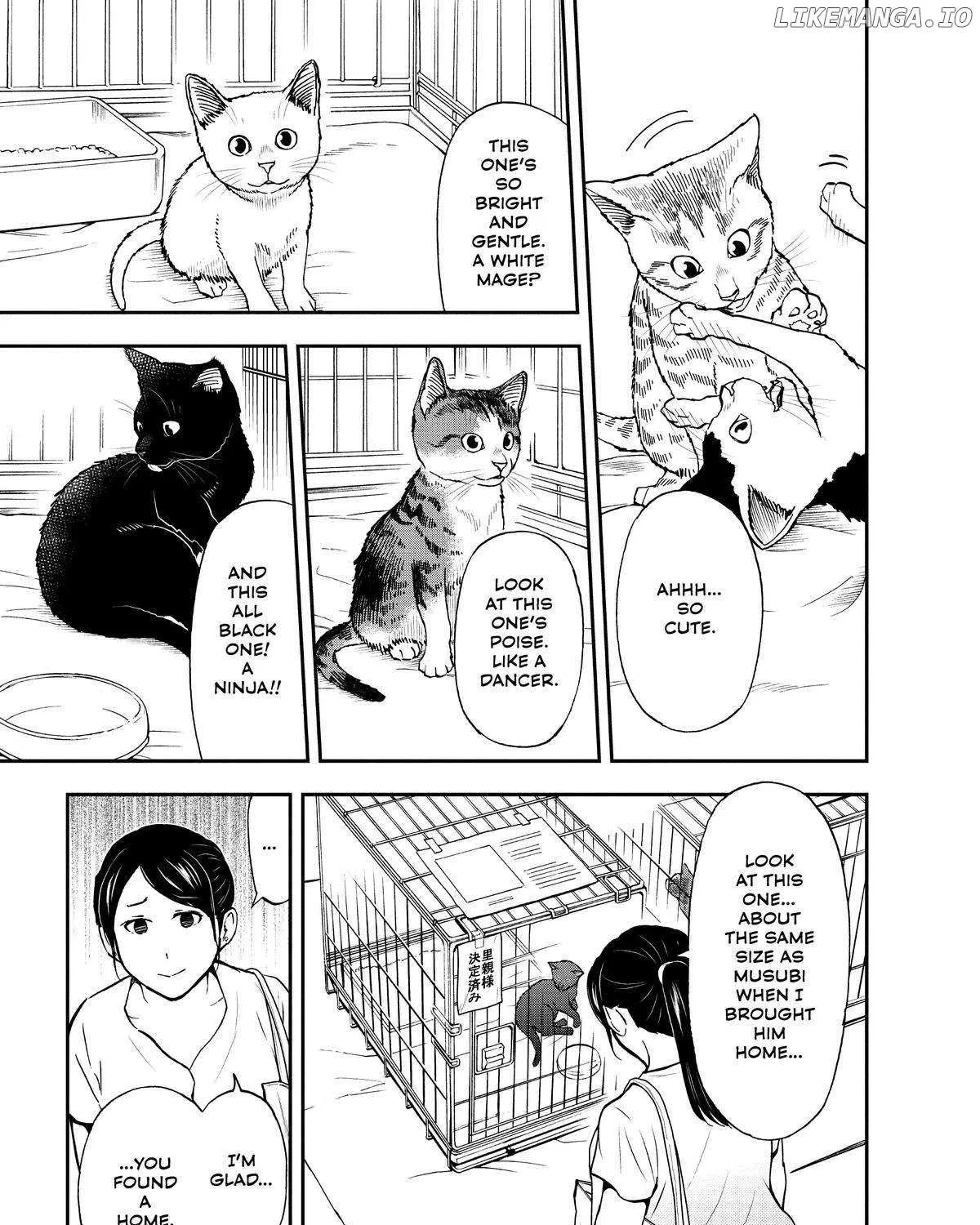 A Gamer Living with a Cat Chapter 28 page 17 - 