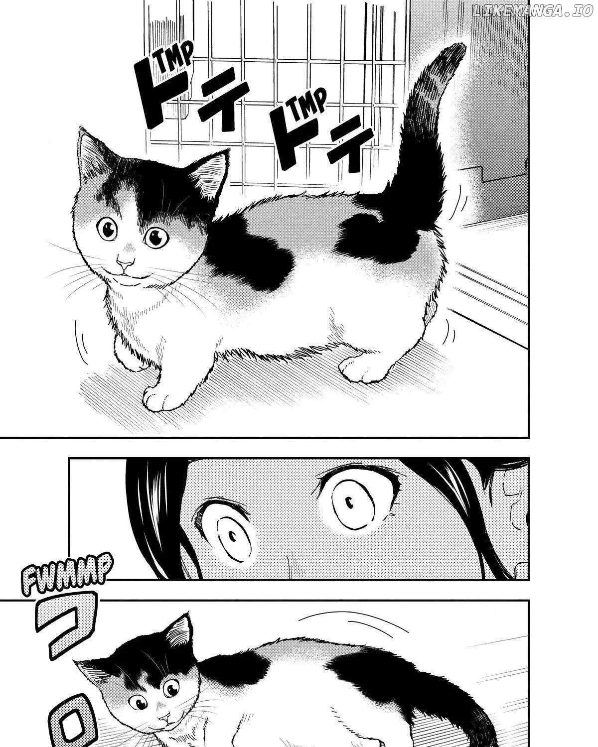 A Gamer Living with a Cat Chapter 28 page 25 - 