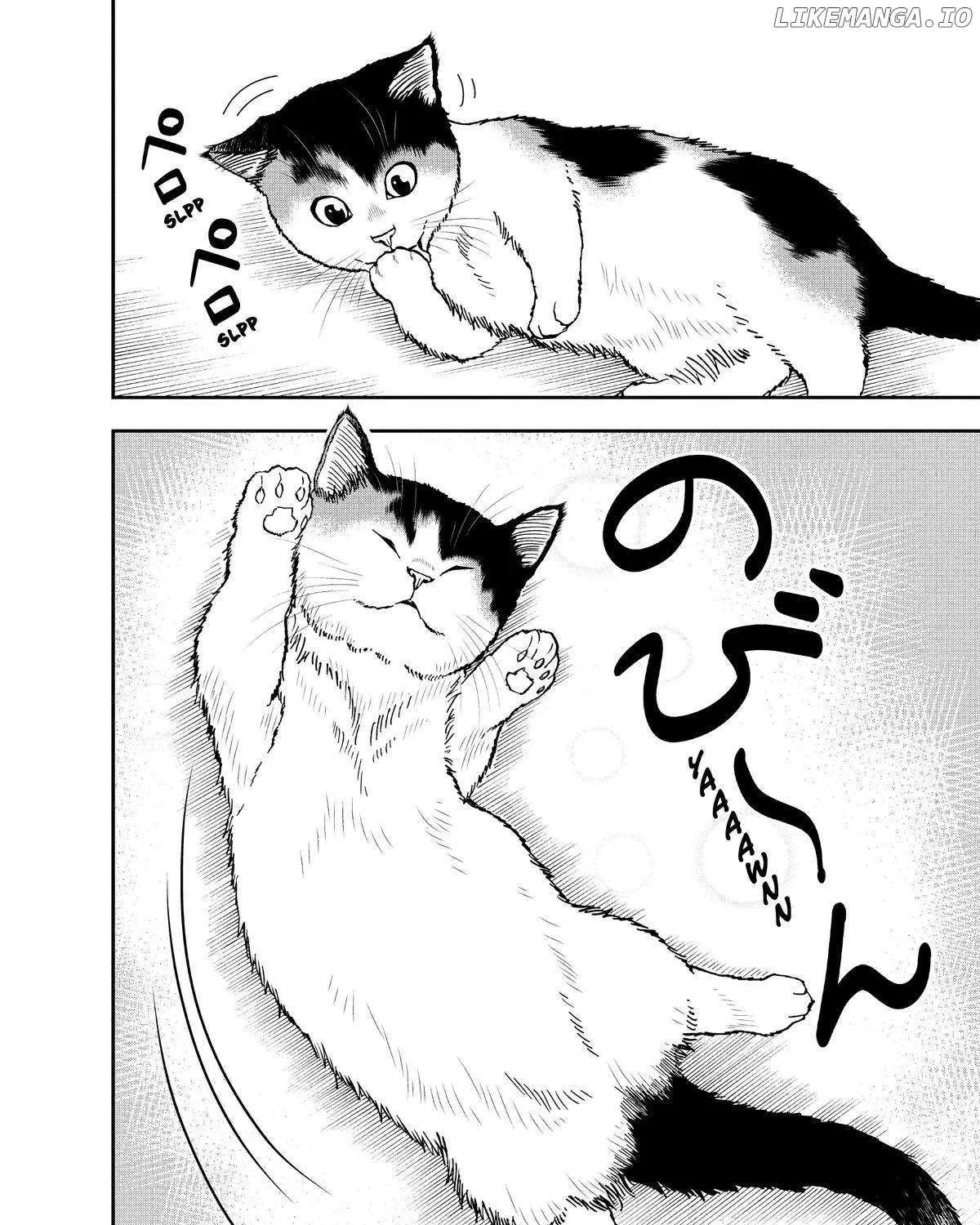 A Gamer Living with a Cat Chapter 28 page 27 - 