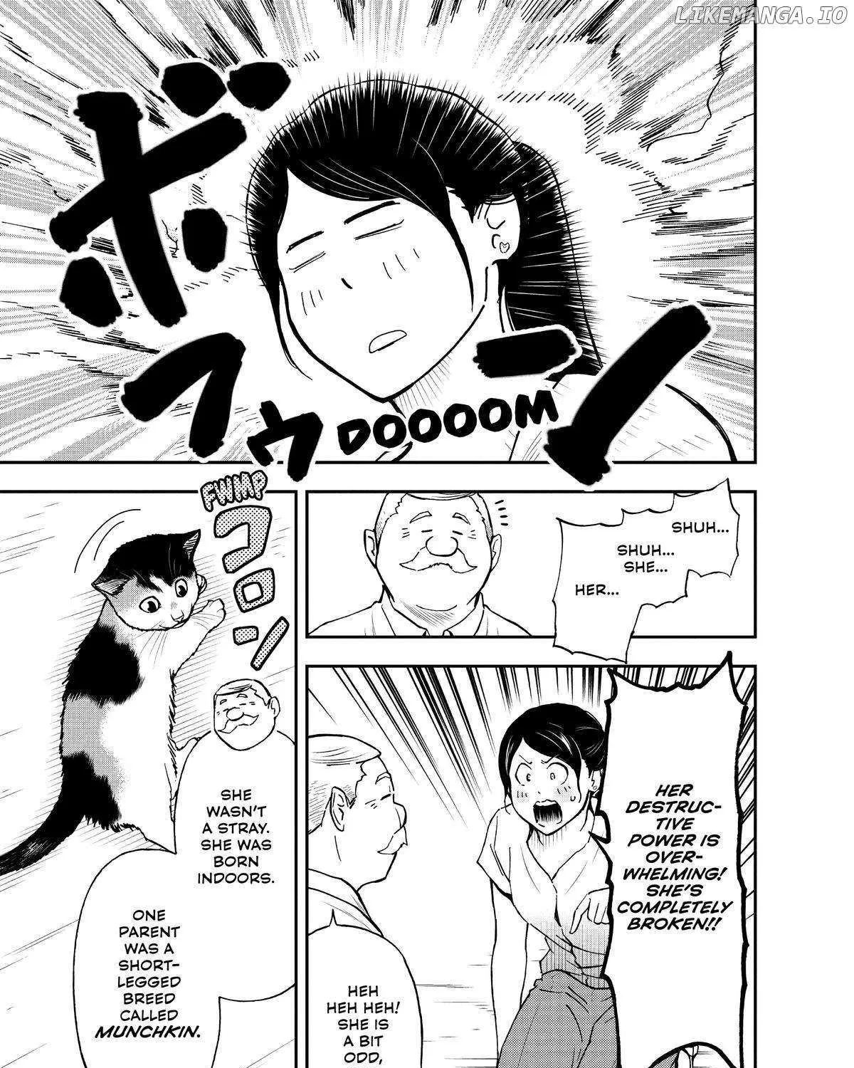 A Gamer Living with a Cat Chapter 28 page 29 - 