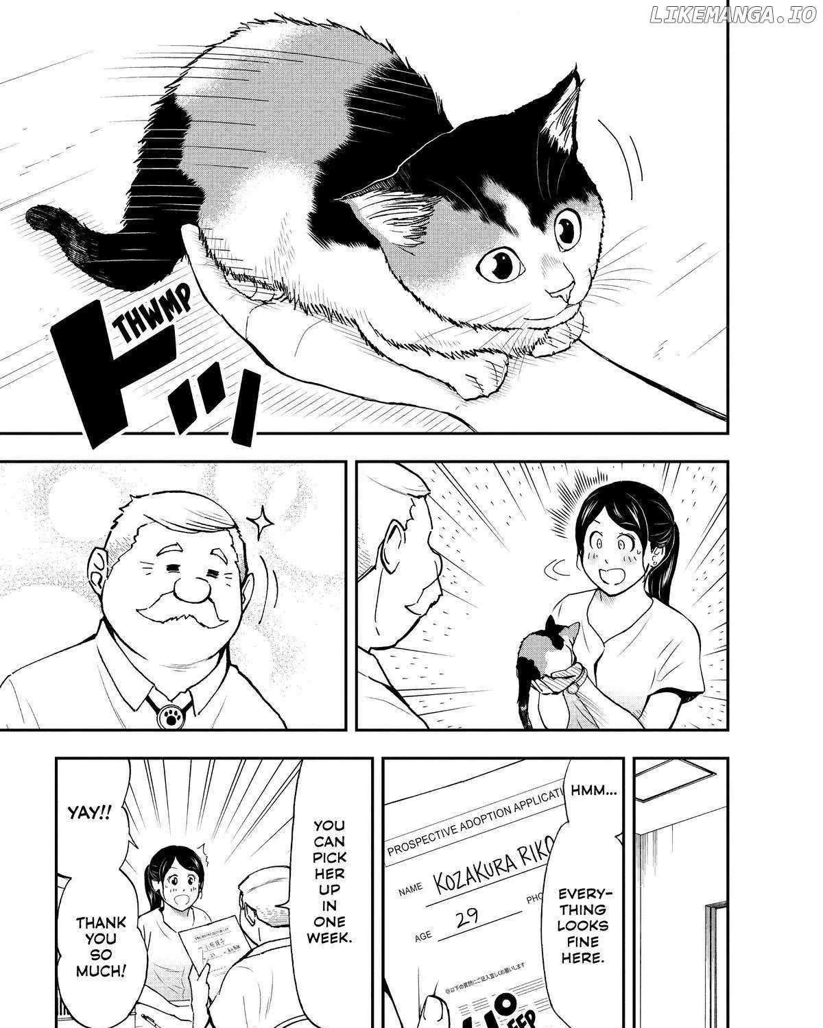 A Gamer Living with a Cat Chapter 28 page 33 - 