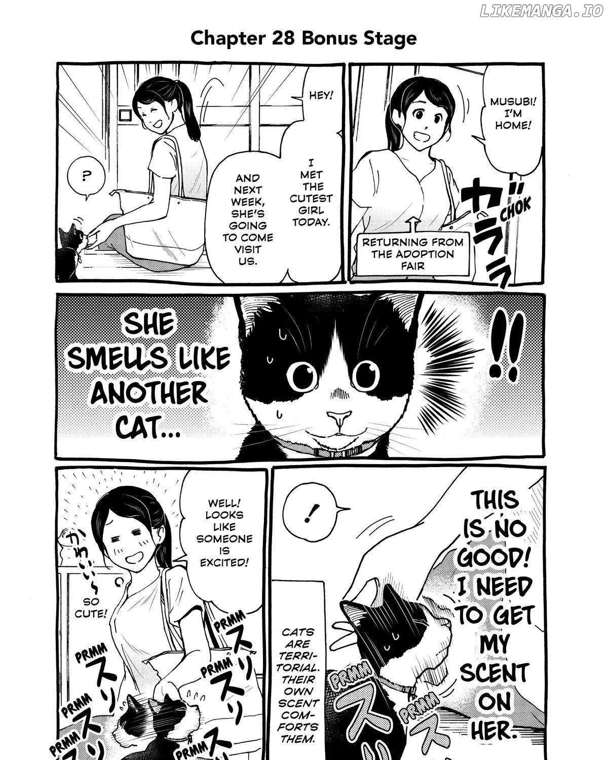 A Gamer Living with a Cat Chapter 28 page 37 - 