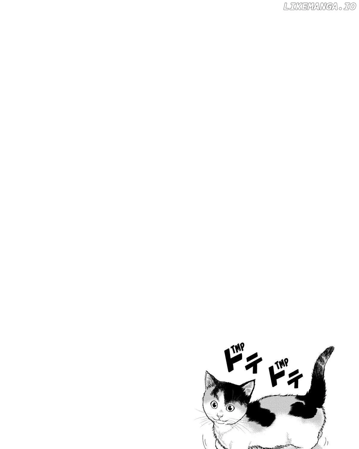 A Gamer Living with a Cat Chapter 28 page 39 - 