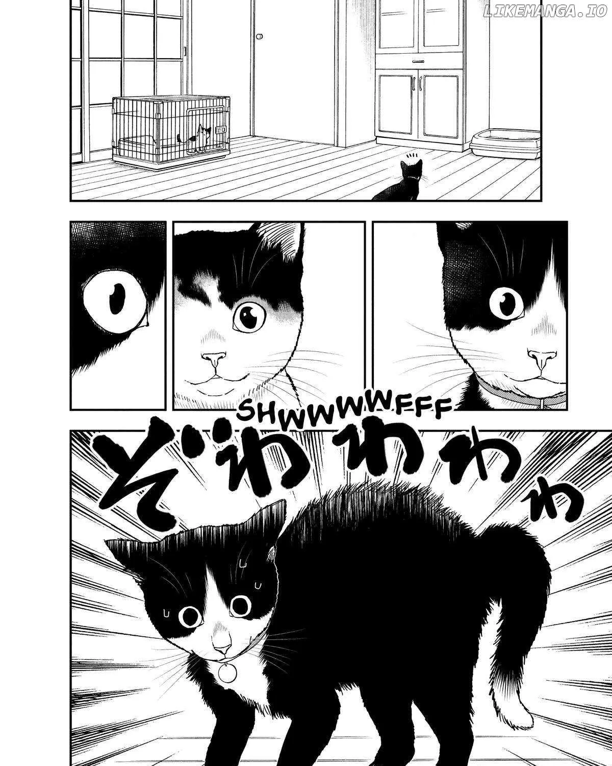 A Gamer Living with a Cat Chapter 29 page 11 - 