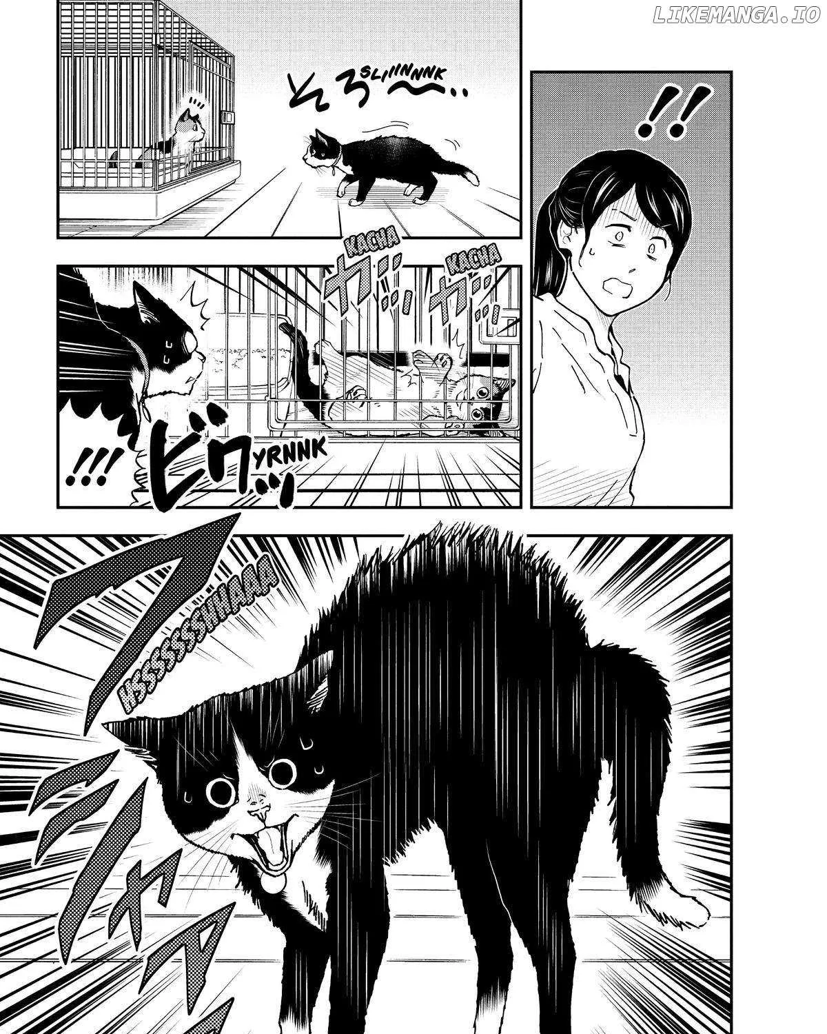 A Gamer Living with a Cat Chapter 29 page 13 - 